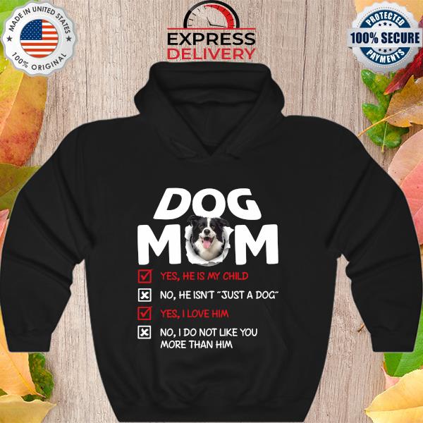 Border Collie Dog Mom yes he is my child I love him s Hoodie